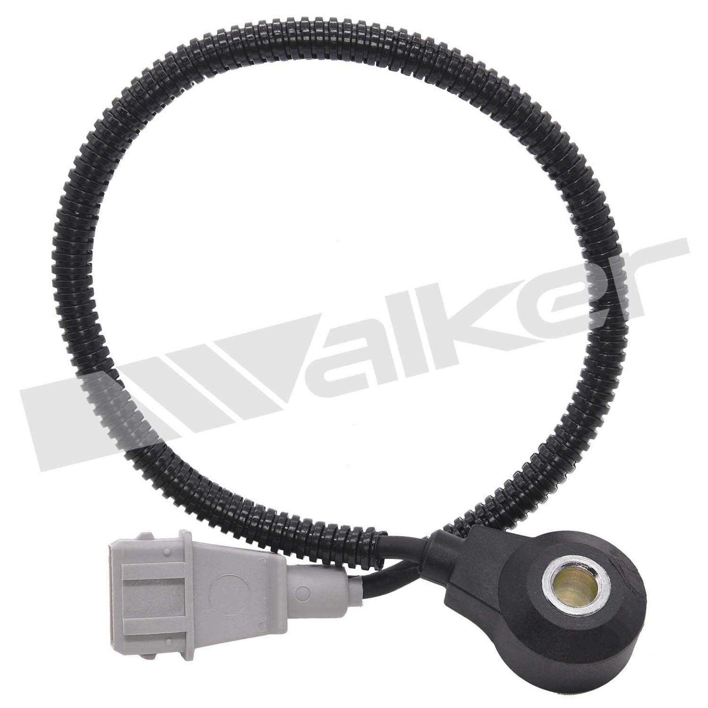 Walker 2421181