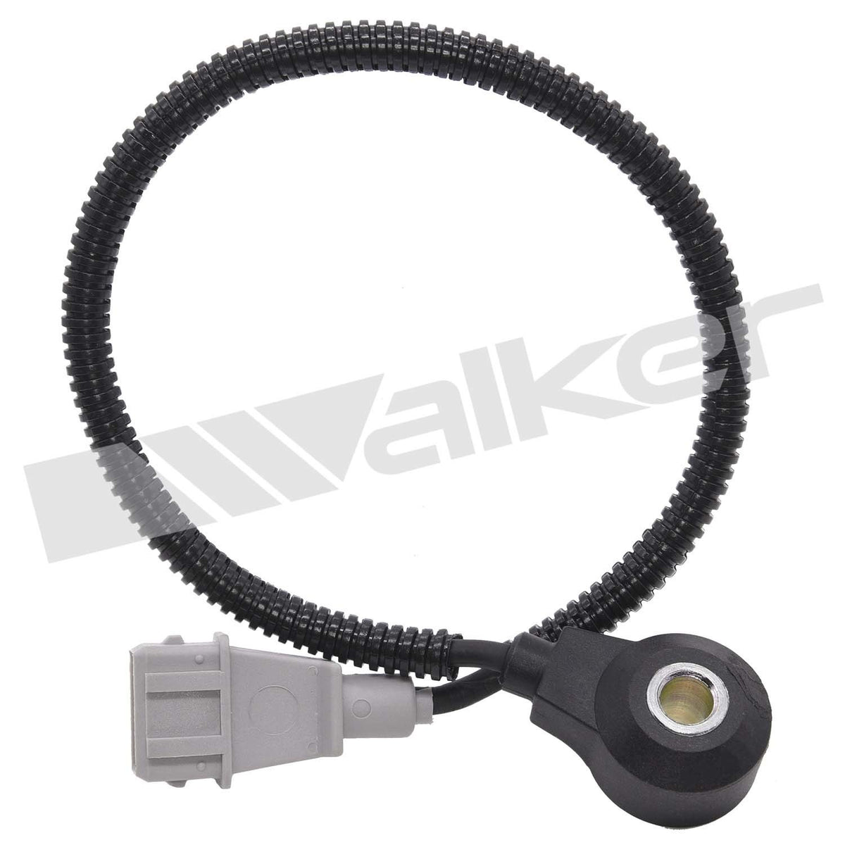 Walker 2421181
