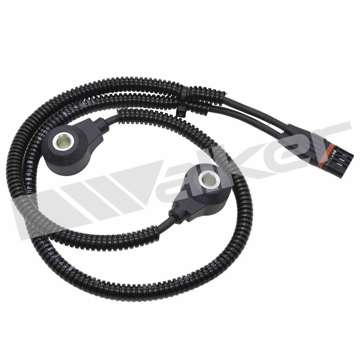Walker 2421186