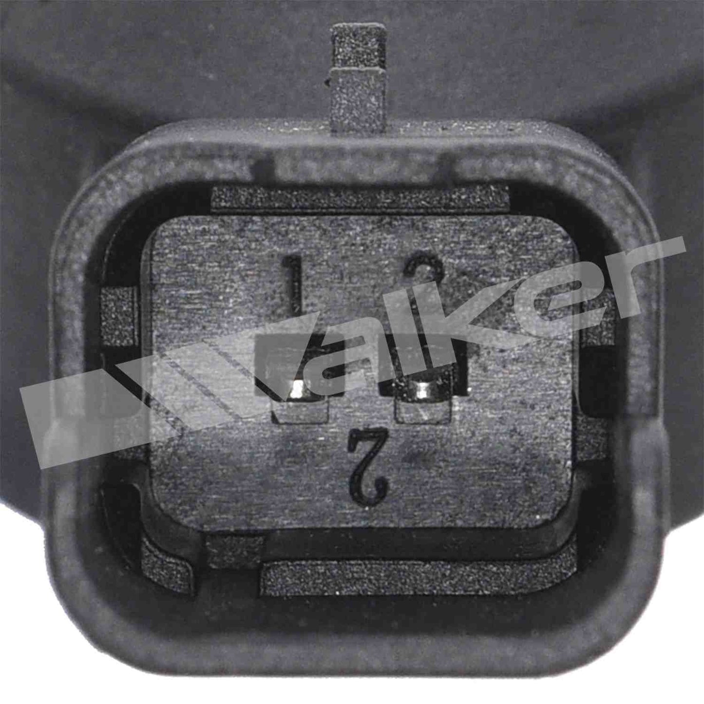 Walker 2421195