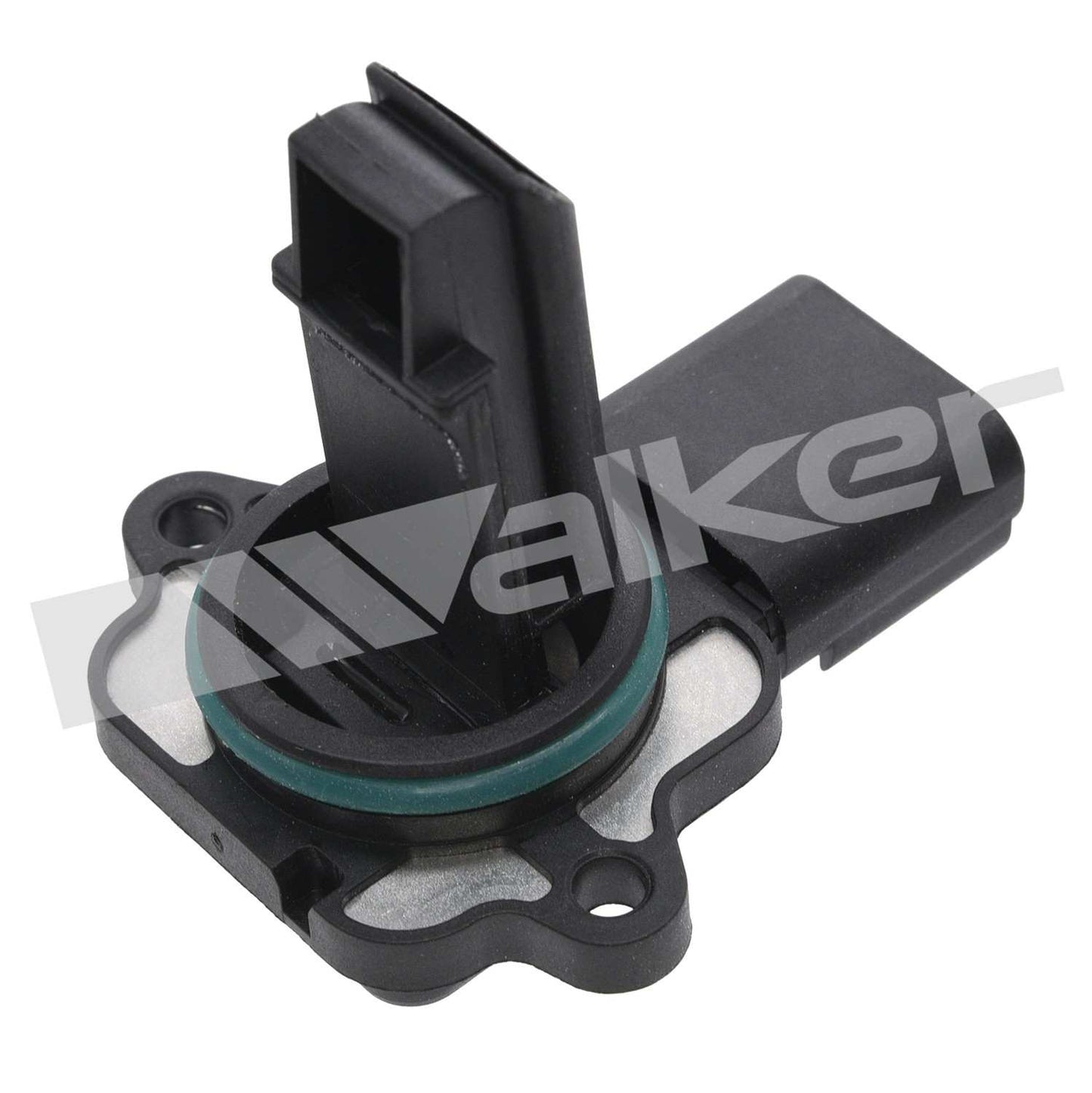 Walker 2451324