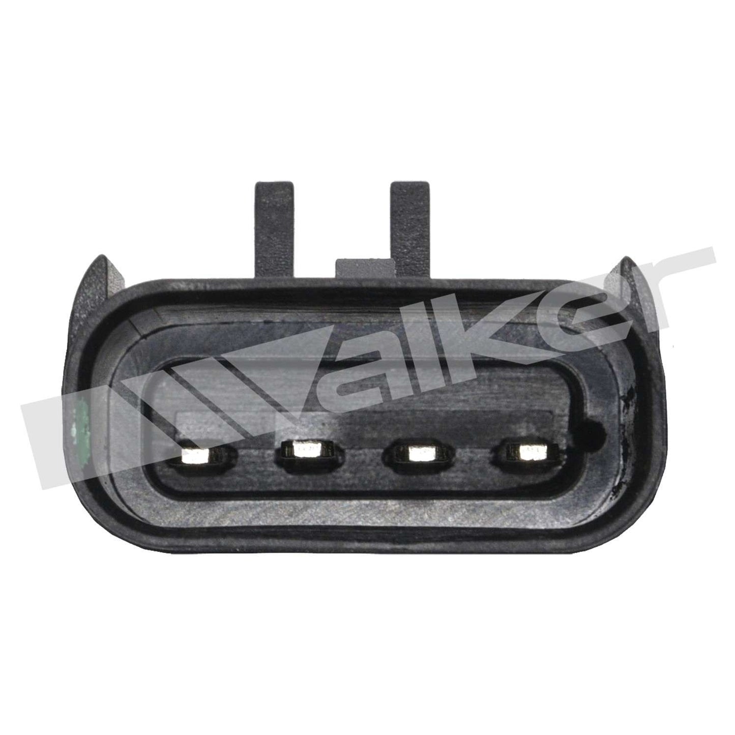 Walker 2451324