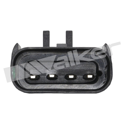 Walker 2451324
