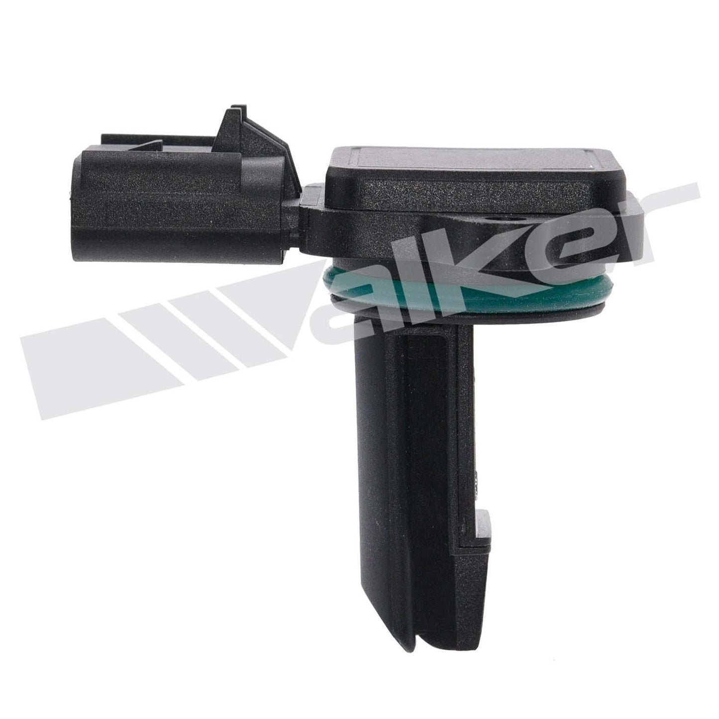 Walker 2451324