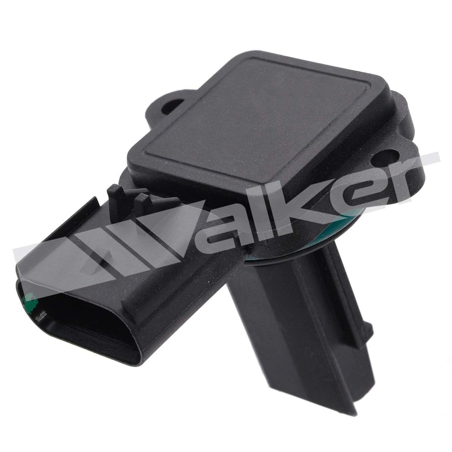 Walker 2451324