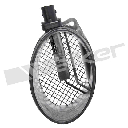 Walker 2451424