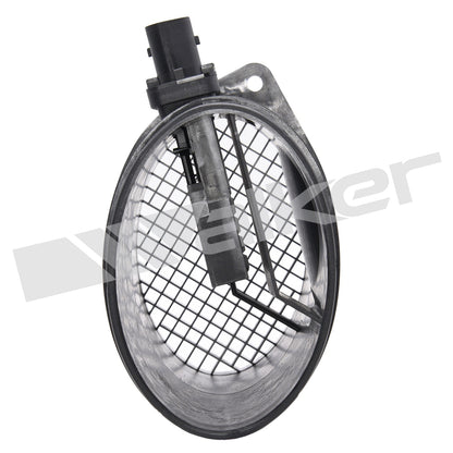 Walker 2451424