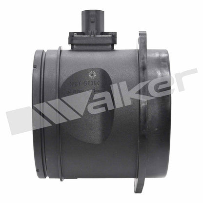 Walker 2451424