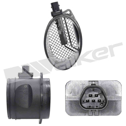 Walker 2451424