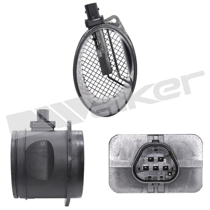 Walker 2451424