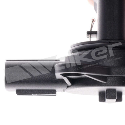 Walker 245-1596