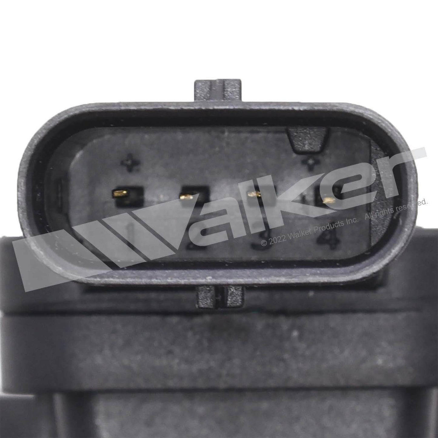 Walker 245-1605