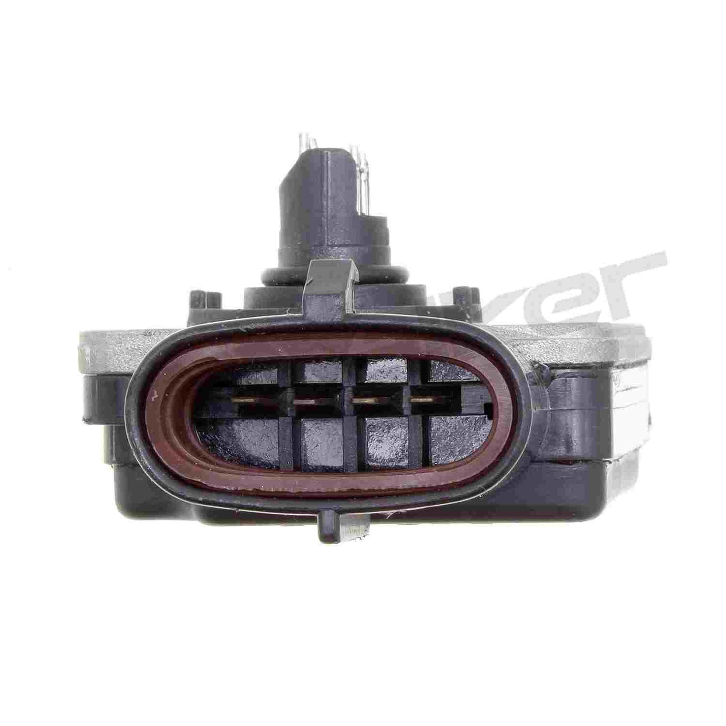 Walker Products Walker Products 245-2012 Mass Air Flow Sensor 245-2012