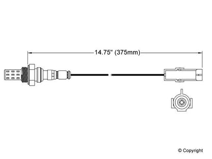 Walker Oxygen Sensor