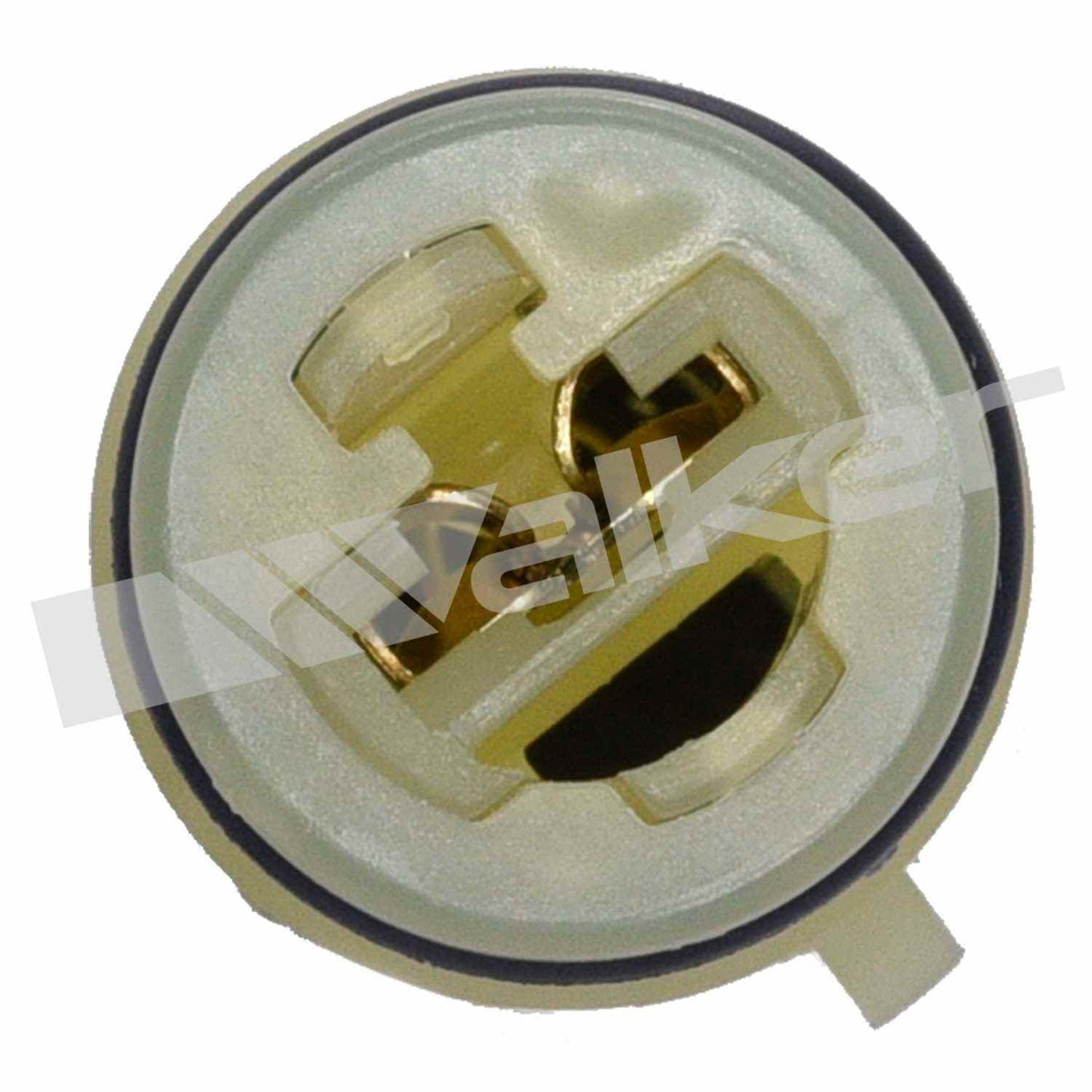 Walker Oxygen Sensor