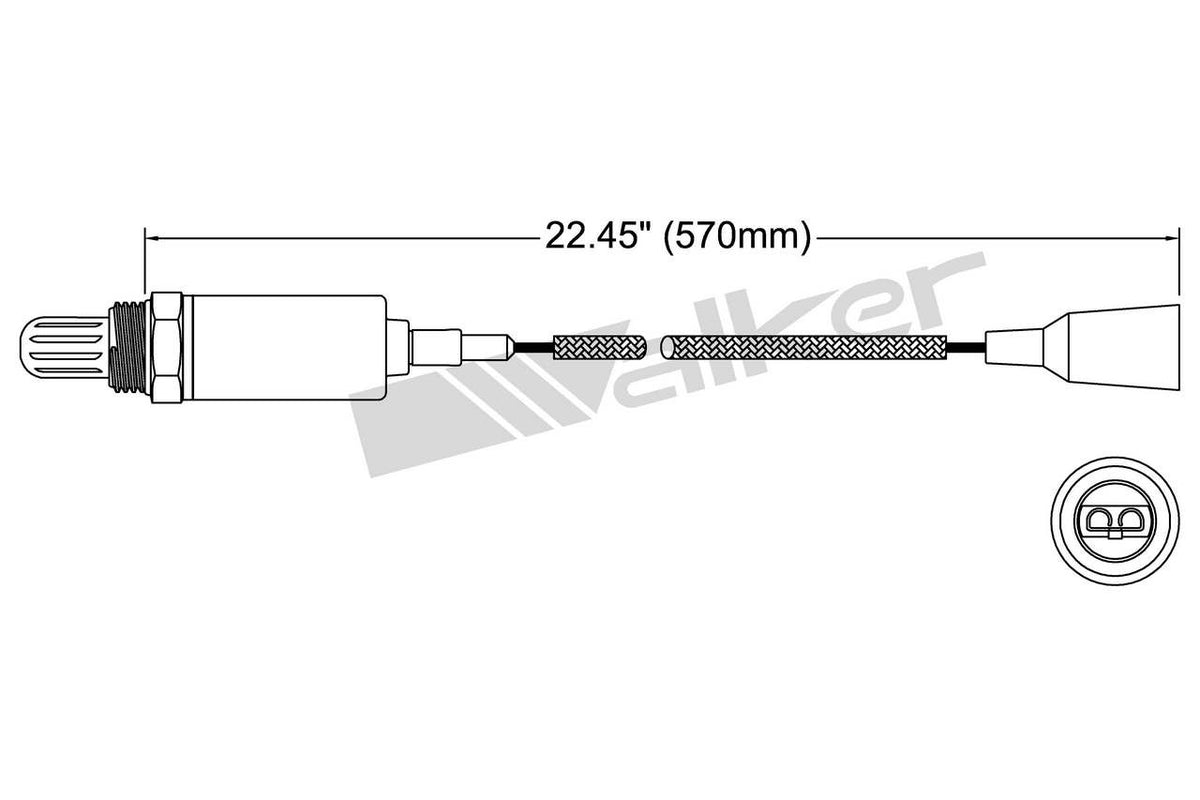 Walker Oxygen Sensor