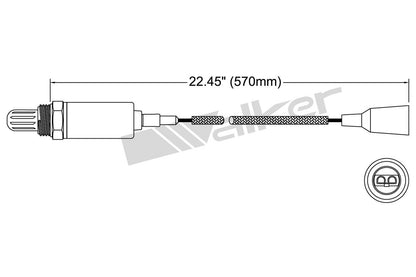 Walker Oxygen Sensor