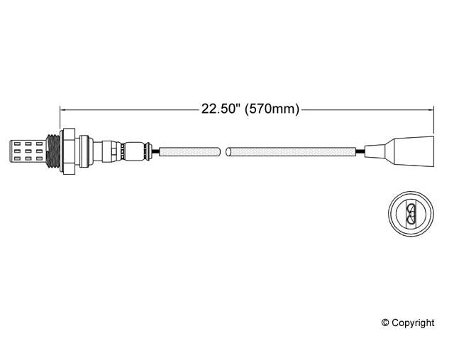 Walker Oxygen Sensor