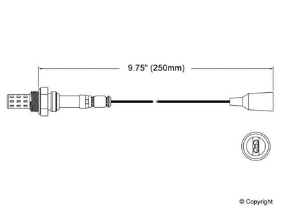 Walker Oxygen Sensor