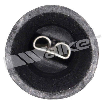 Walker Oxygen Sensor