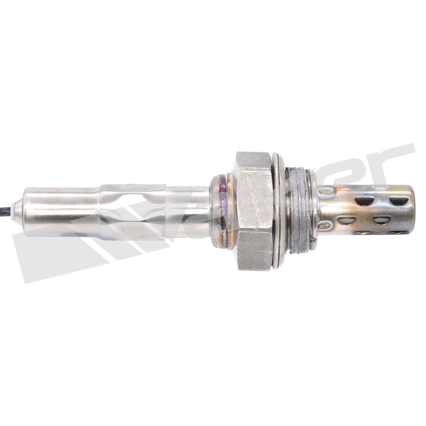Walker Oxygen Sensor