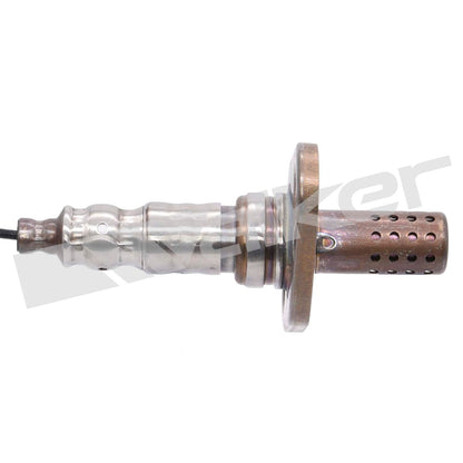 Walker Oxygen Sensor