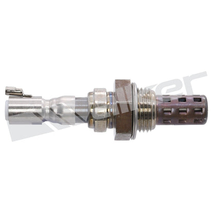 Walker Oxygen Sensor