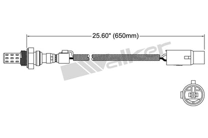Walker Oxygen Sensor