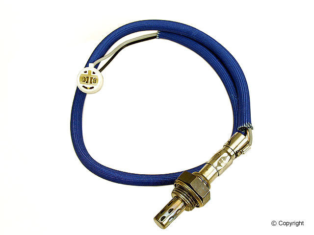 Walker Oxygen Sensor