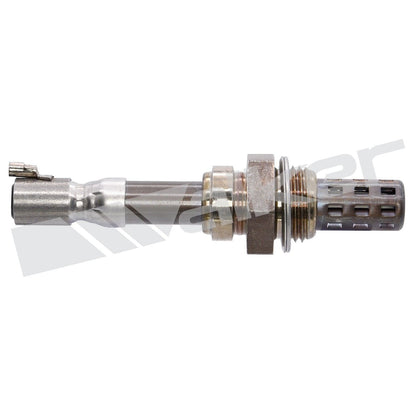 Walker Oxygen Sensor