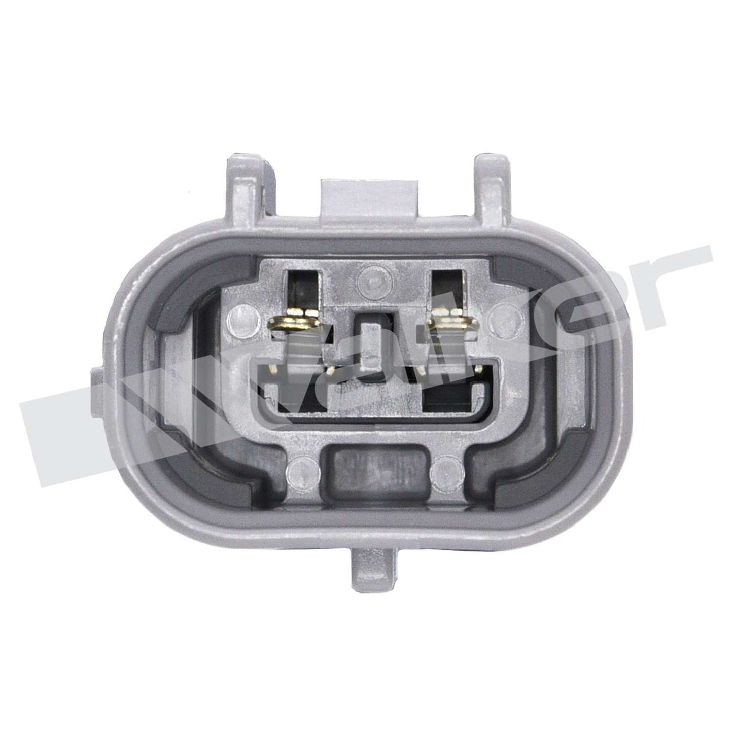 Walker Oxygen Sensor