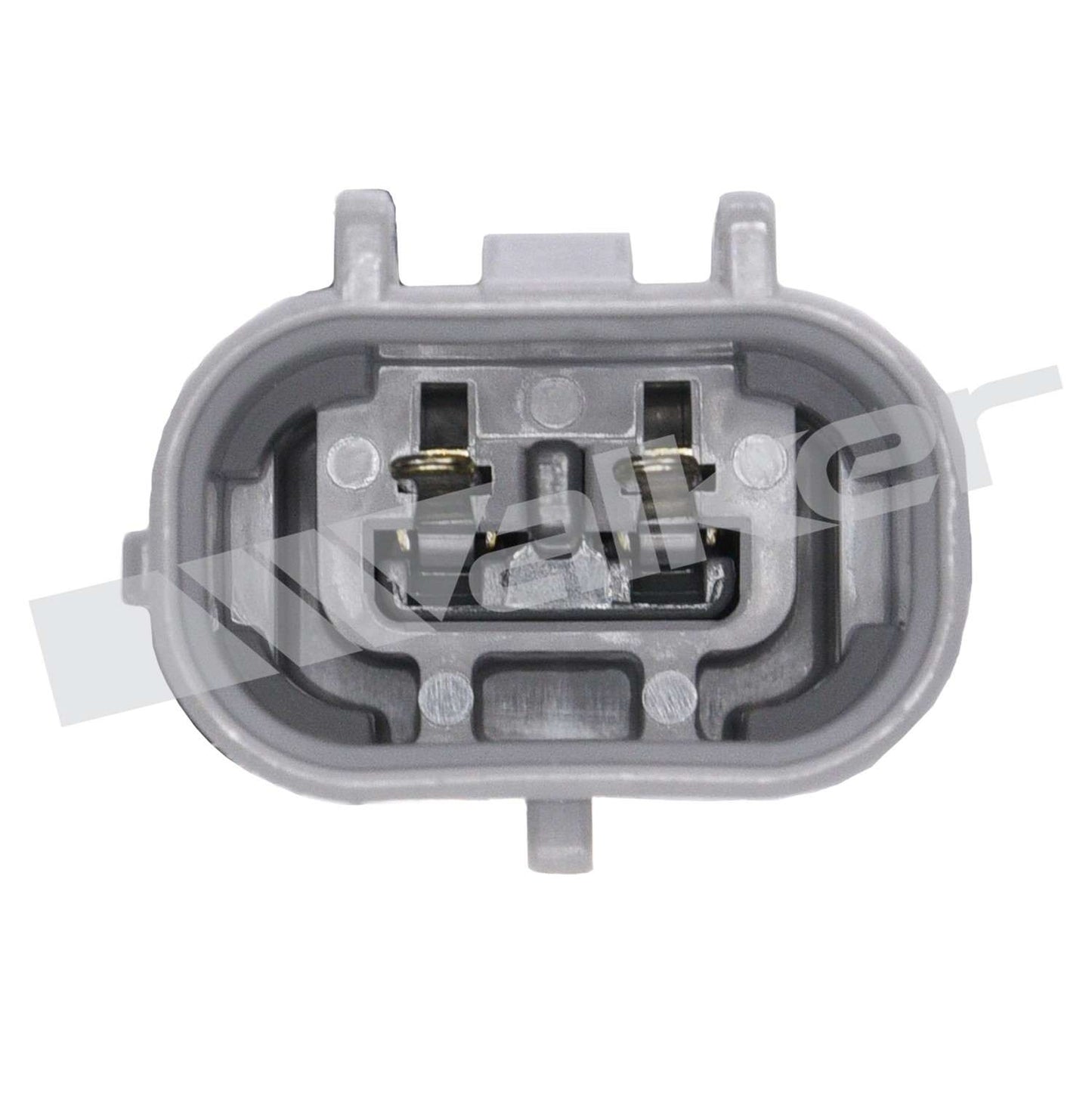Walker Oxygen Sensor