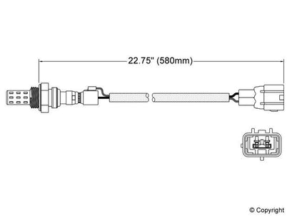 Walker Oxygen Sensor