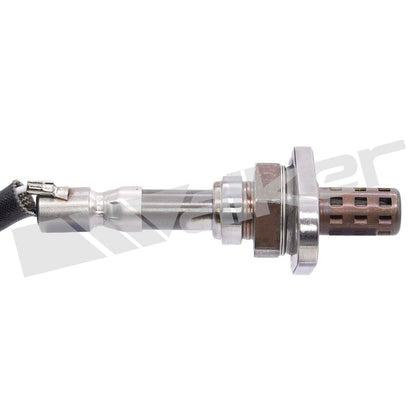 Walker Oxygen Sensor