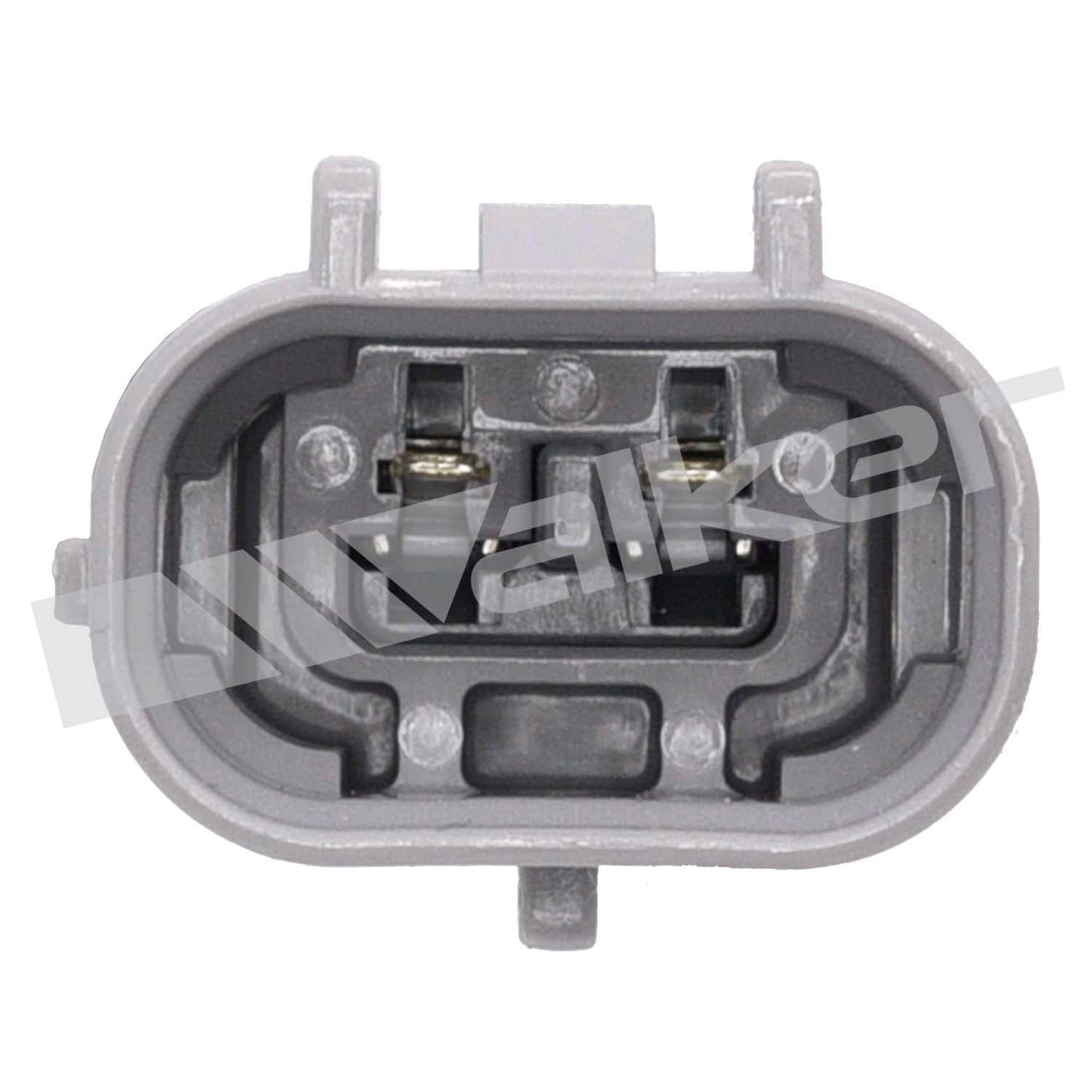 Walker Oxygen Sensor