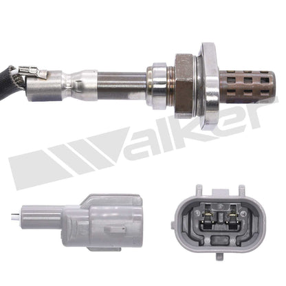 Walker Oxygen Sensor