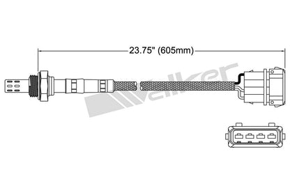 Walker Oxygen Sensor