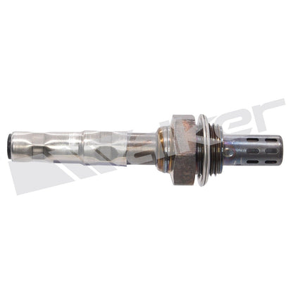Walker Oxygen Sensor
