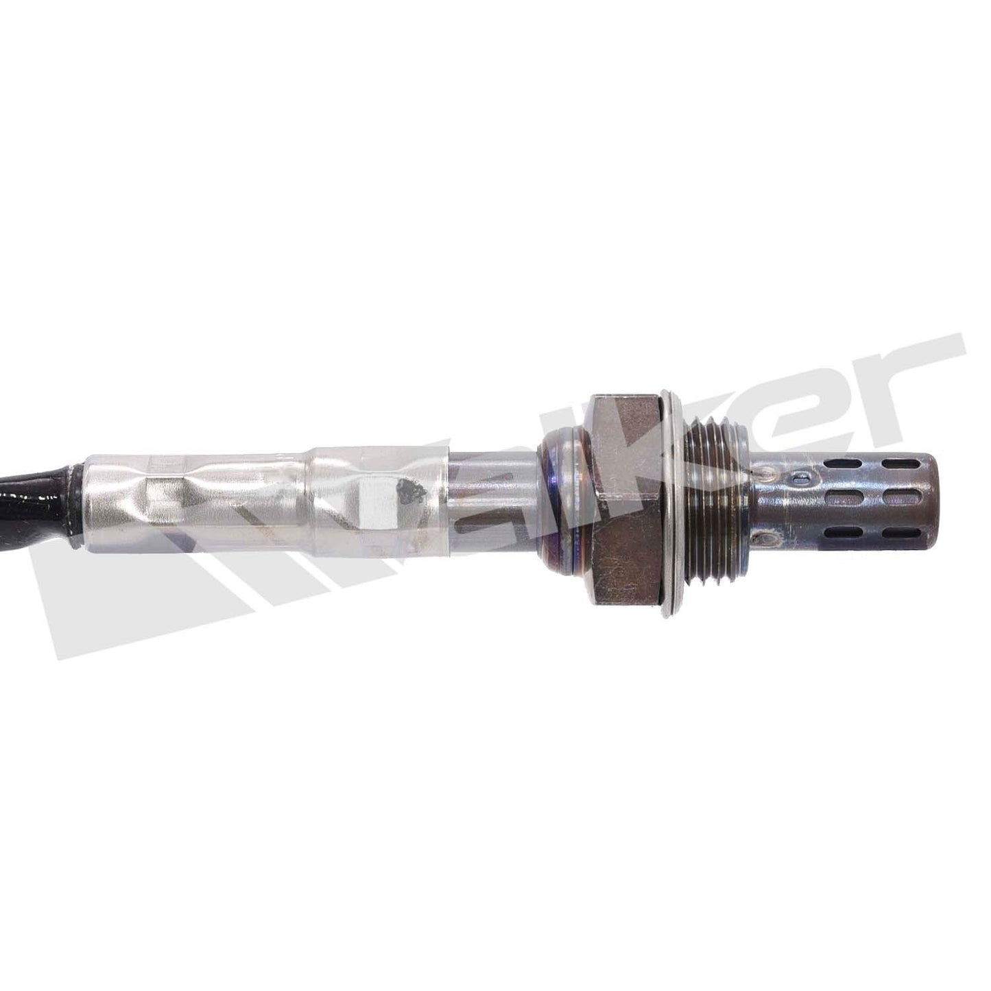 Walker Oxygen Sensor