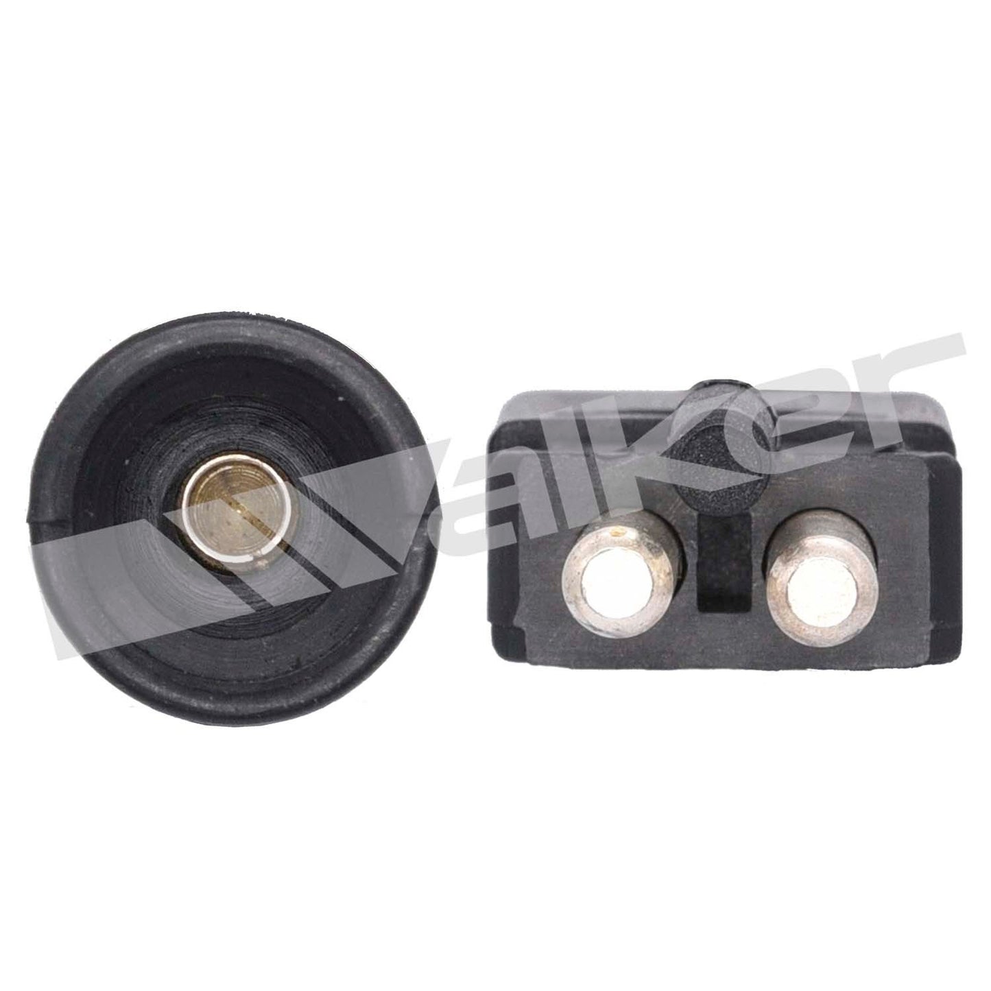 Walker Oxygen Sensor