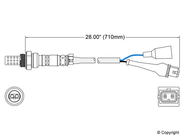 Walker Oxygen Sensor