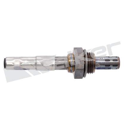 Walker Oxygen Sensor