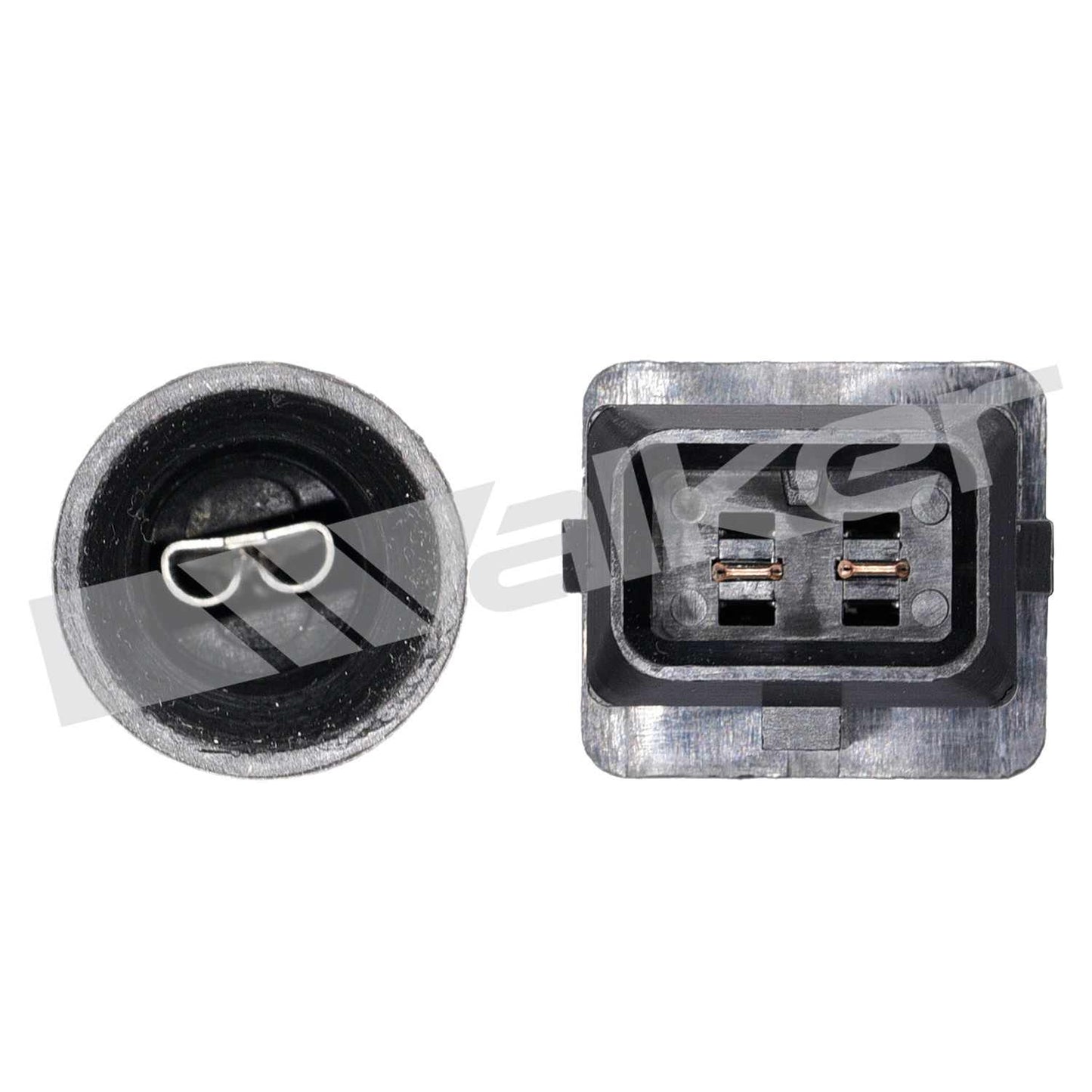 Walker Oxygen Sensor
