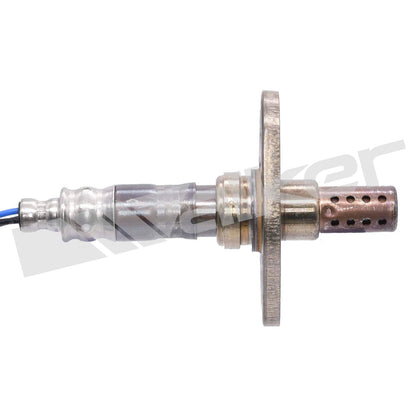 Walker Oxygen Sensor