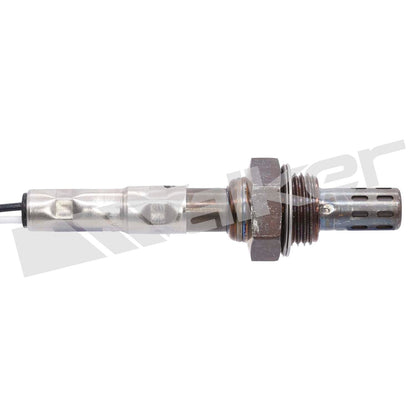 Walker Oxygen Sensor
