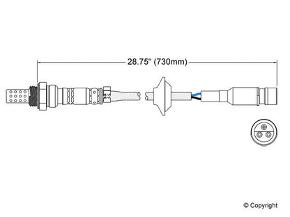 Walker Oxygen Sensor