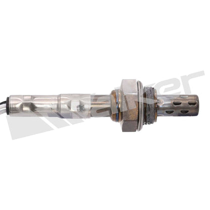Walker Oxygen Sensor