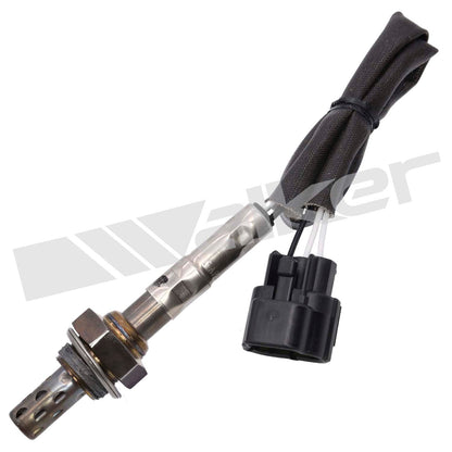Walker Oxygen Sensor