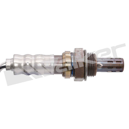 Walker Oxygen Sensor