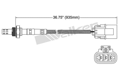 Walker Oxygen Sensor